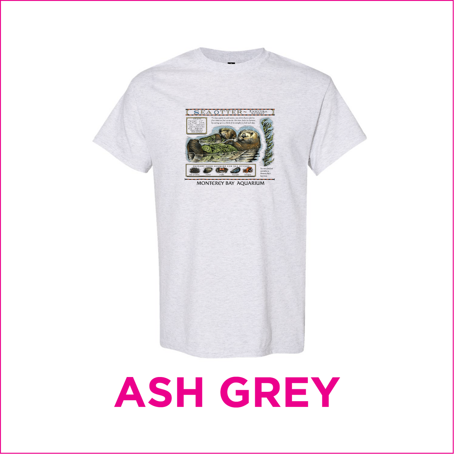 Monterey Bay Style Sea Otter Shirt