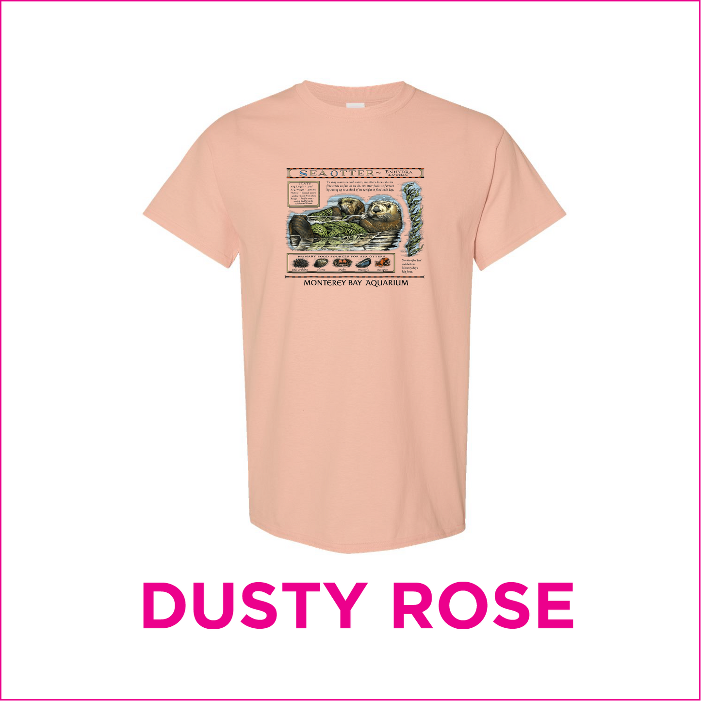 Monterey Bay Style Sea Otter Shirt