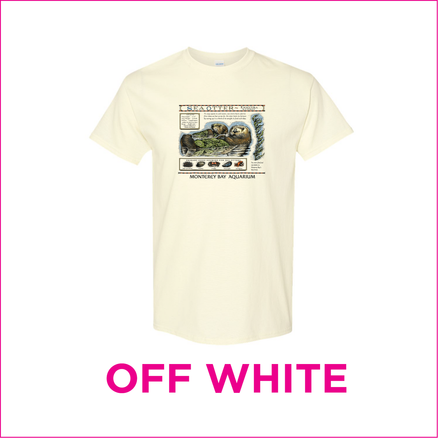 Monterey Bay Style Sea Otter Shirt